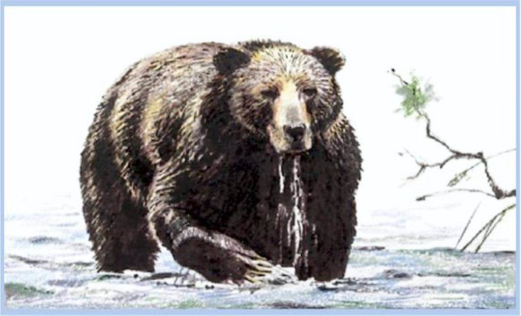 Big Bear Woodworking & Plasma Art Logo